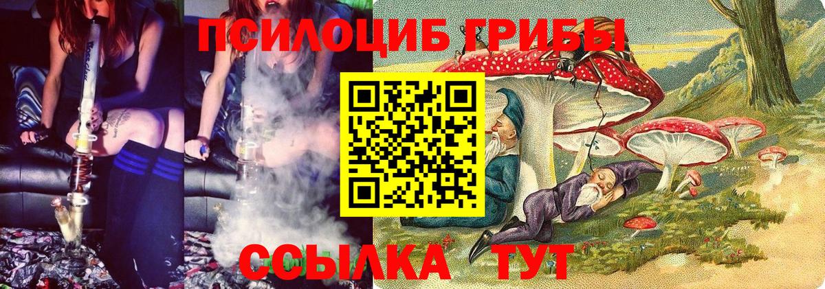 Псилоцибиновые грибы MAGIC MUSHROOMS  Вход с VPN  Ликино-Дулёво 
